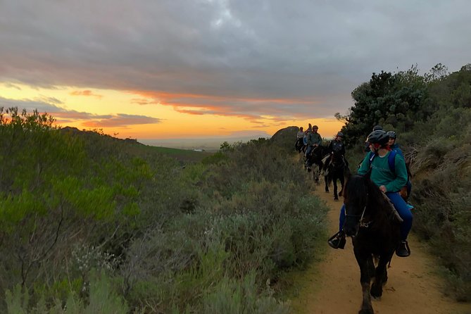 1h – Horse Trail - Why the guide can make or break a short ride