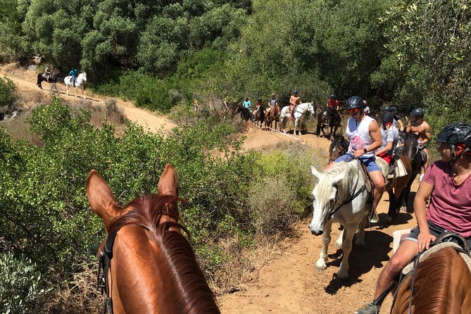 1h – Horse Trail - Weight, health, and weather rules