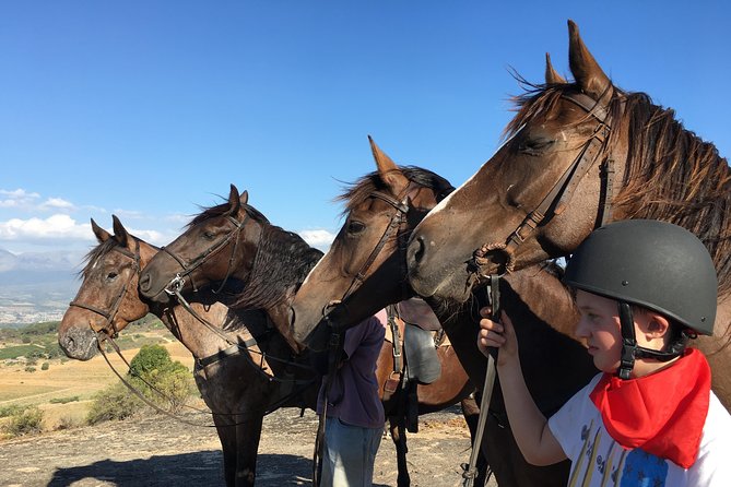 1h – Horse Trail - Planning this ride around a Winelands day