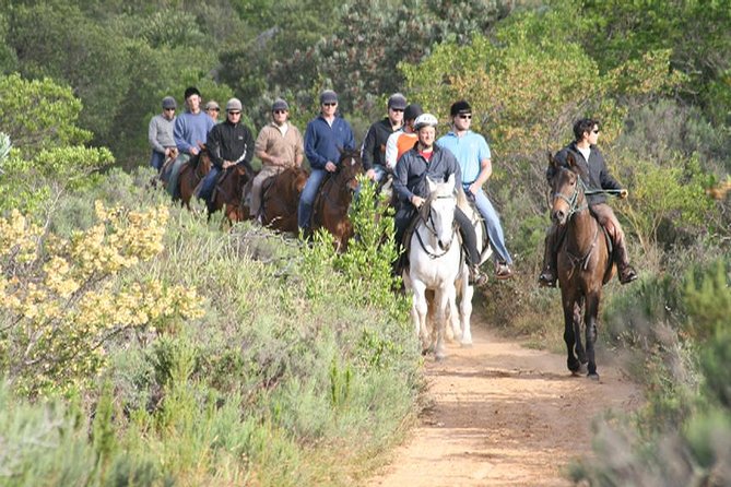 1h30m – Horse Trail - Key points at a glance