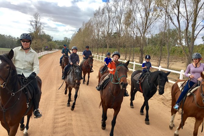 1h30m – Horse Trail - Starting at Vrede en Lust Wine Estate