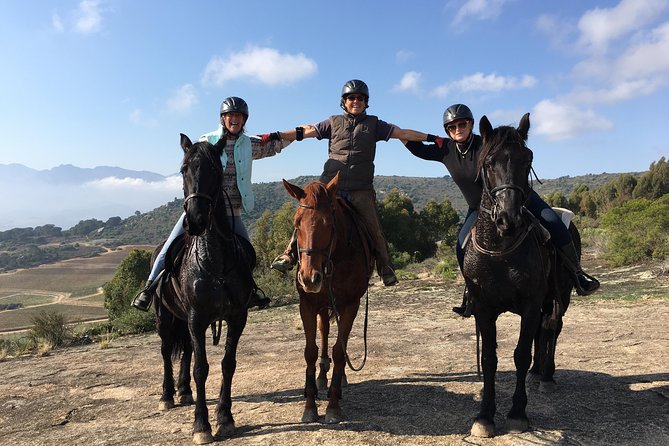 1h30m – Horse Trail - The climb toward Paarl Mountain