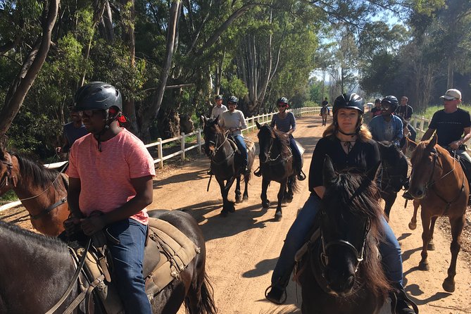 1h30m – Horse Trail - Who should book this ride?