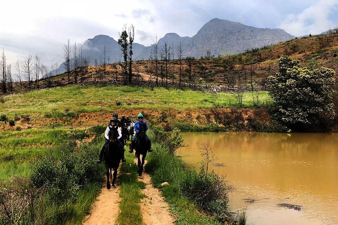 1h30m – Horse Trail - Getting comfortable with your horse