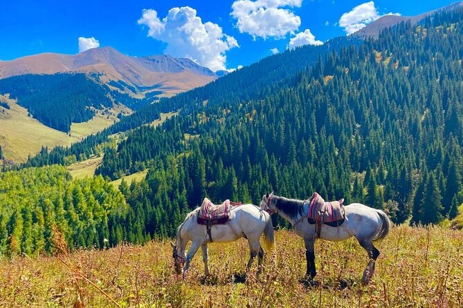 2-Day Adventure: Horseback Riding, Konorchek Canyons & Yurt Stay - A traditional yurt stay near Chon Kemin