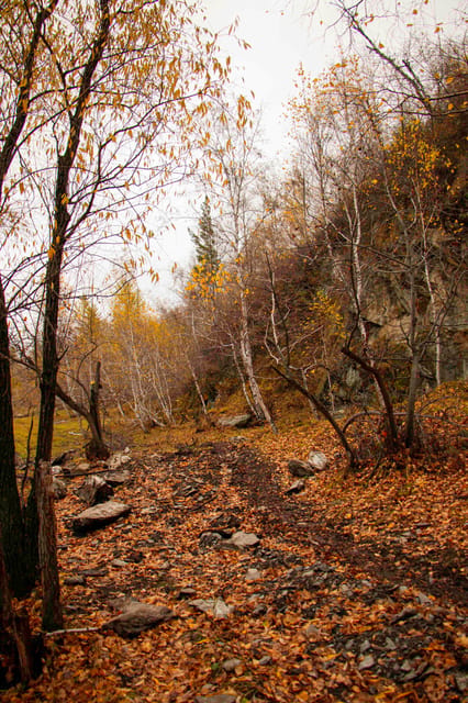 2 Day Horse trekking in Terelj national park - Learning to ride across Terelj