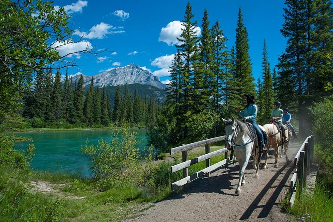 2 Hour Banff Horseback Riding Adventure - What the two-hour pace feels like