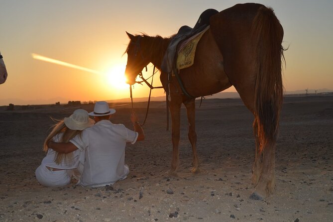 2 Hour Horse Riding Experience in Hurghada - Starting with a calm ride in Hurghada