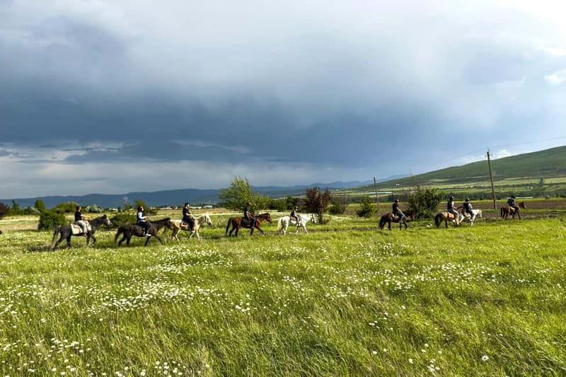 2-hour horse riding tour at Palomino Ranch Near Tbilisi - Riding Through Meadows, Farms, and Village Life