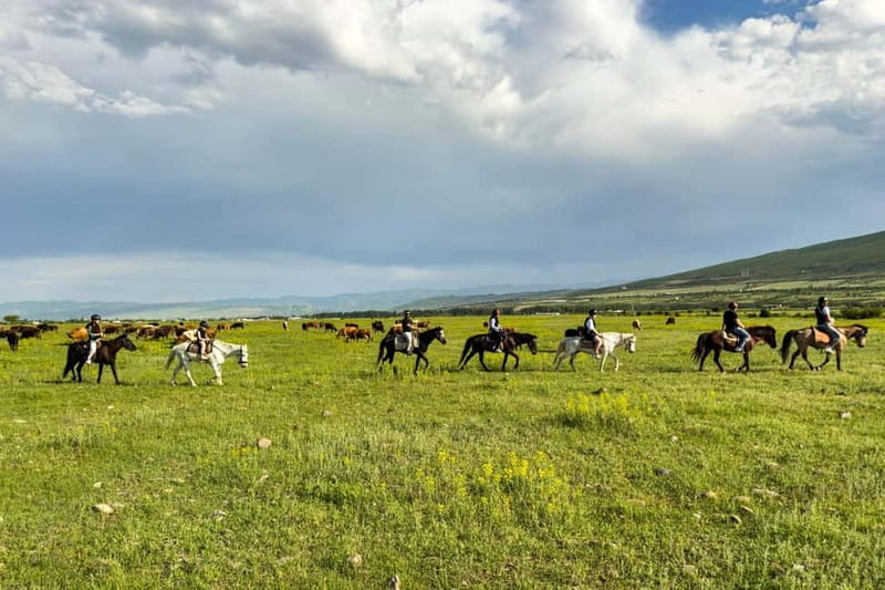 2-hour horse riding tour at Palomino Ranch Near Tbilisi - From Gentle Walking to Trotting and Cantering