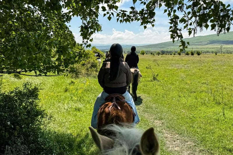 2-hour horse riding tour at Palomino Ranch Near Tbilisi - Meeting Your Horse Before the Two-Hour Ride