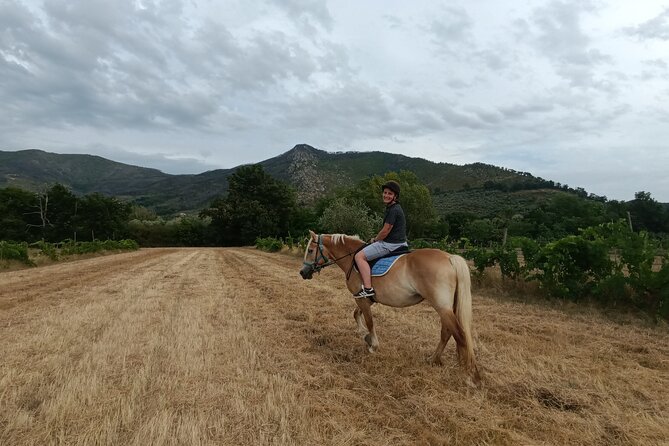 2 hour horseback ride for experts in Valgraziosa (Pisa) - Who should book the Valgraziosa ride