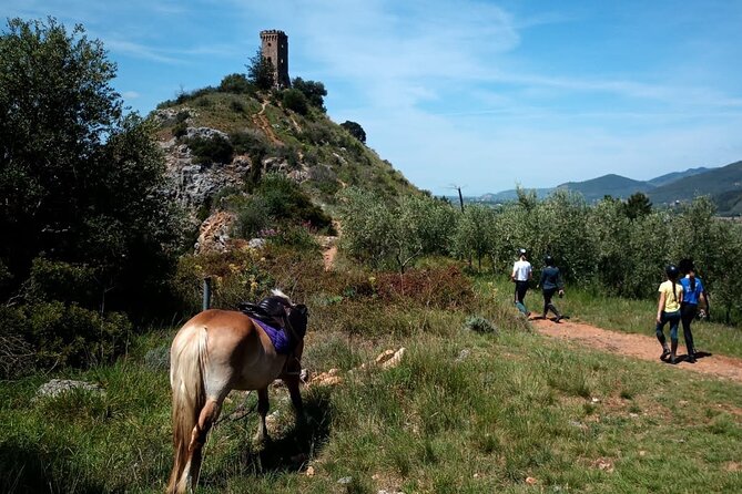 2 hour horseback ride for experts in Valgraziosa (Pisa) - Following the path beside the stream