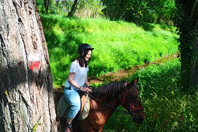 2 hour horseback ride for experts in Valgraziosa (Pisa) - The climb toward the sea view