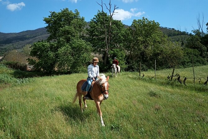 2 hour horseback ride for experts in Valgraziosa (Pisa) - Returning on the ring route