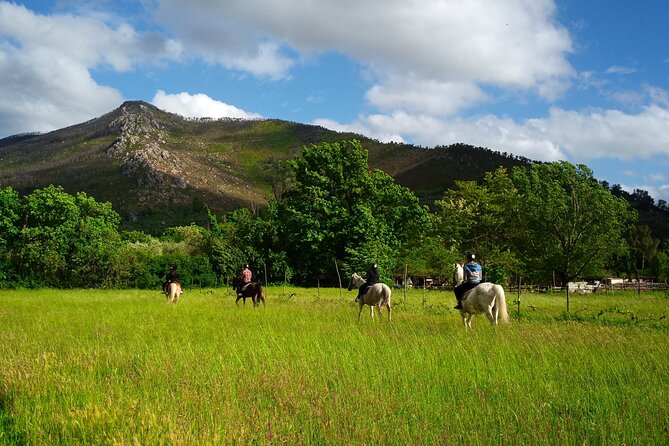 2 hour horseback ride for experts in Valgraziosa (Pisa) - What the $69.41 price includes