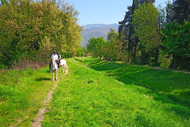 2 hour horseback ride for experts in Valgraziosa (Pisa) - The Upezzinghi tower and Crespignano estate