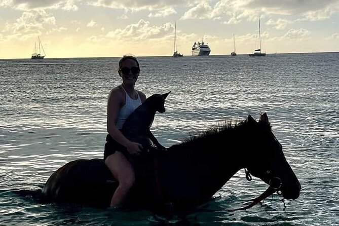 2 Hour Horseback Riding Sunset Tour with Dore's Riding Stable - The horses, foals, and Silver
