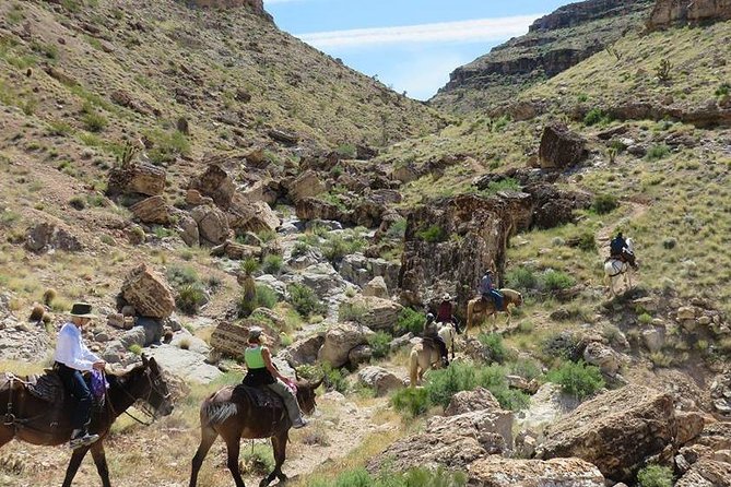 2-Hour Horseback Riding through Red Rock Canyon - Meeting the Horses and Wranglers