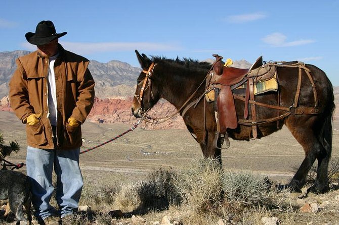 2-Hour Horseback Riding through Red Rock Canyon - What to Wear and Bring