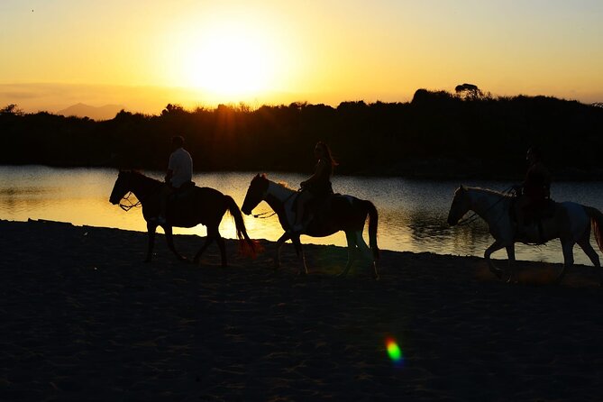 2-Hour Horseback Riding Tour at Sunset from Punta Cana - Key points at a glance