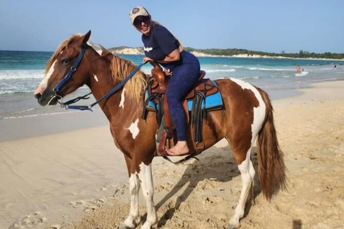 2-Hour Horseback Riding Tour at Sunset from Punta Cana - Horses, handling, and the human side of the ranch