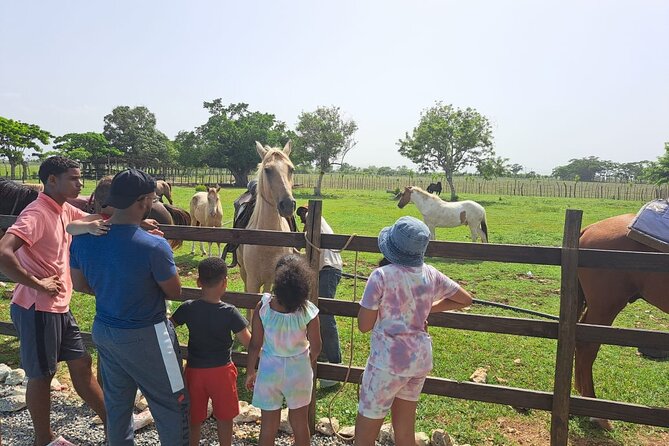 2-Hour Horseback Riding Tour at Sunset from Punta Cana - Is $77.95 a fair price?