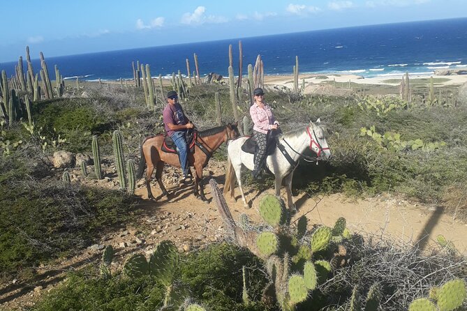 2-Hour Horseback Riding Tour to Little Natural Bridge in Aruba - Is the $116 price fair?