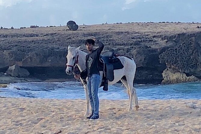 2-Hour Horseback Riding Tour to Little Natural Bridge in Aruba - Who should book this ride?