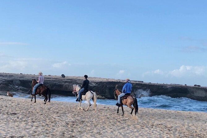 2-Hour Horseback Riding Tour to Little Natural Bridge in Aruba - Cancellation and planning details