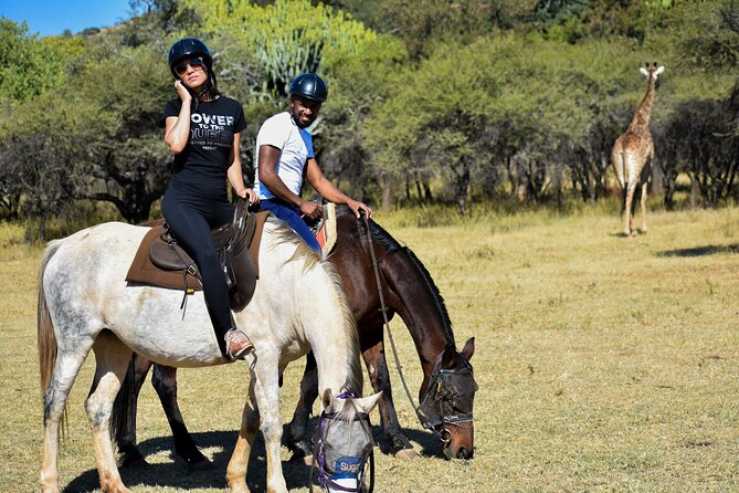 2-Hour Horseback Safari in Hartbeespoort - Key points at a glance