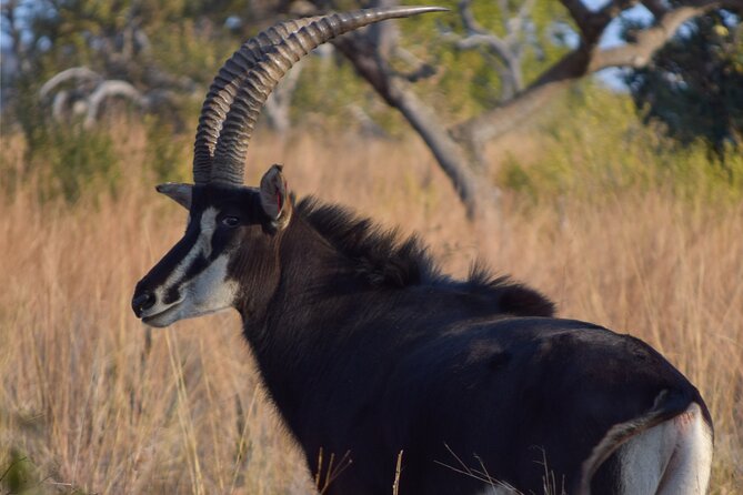 2-Hour Horseback Safari in Hartbeespoort - The halfway pause and what to pack