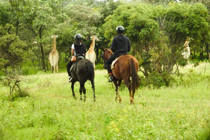 2-Hour Horseback Safari in Hartbeespoort - Who will enjoy this safari most?