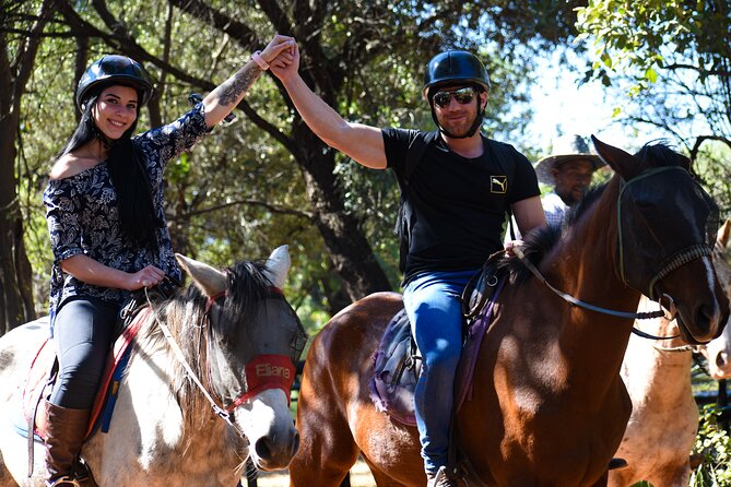 2-Hour Horseback Safari in Hartbeespoort - Choosing a horse when you have never ridden