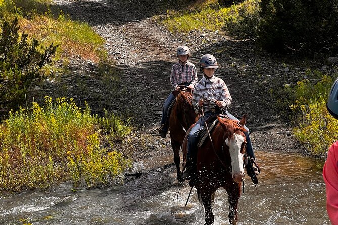 2 Hour Trail Ride in Montana Ranch Country - What the $135 price really covers