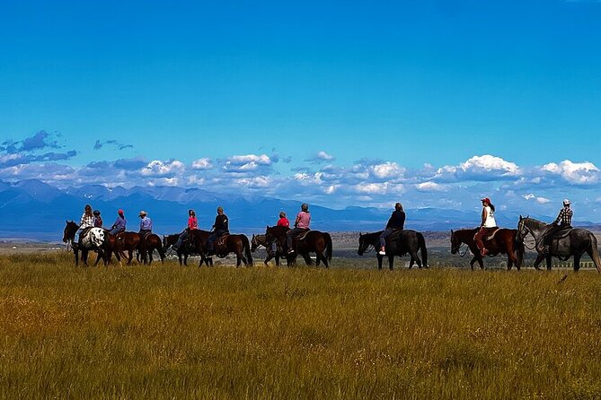 2 Hour Trail Ride in Montana Ranch Country - The horses are part of the experience