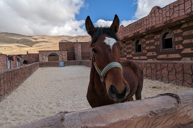 2 Hour Trail Ride to Little Petra-Morning or Sunset - Nabatean water channels and stone steps
