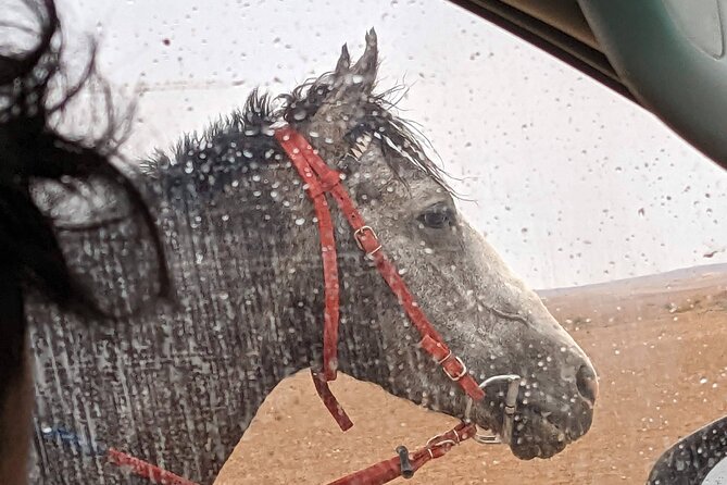 2 Hour Trail Ride to Little Petra-Morning or Sunset - What the small group size changes
