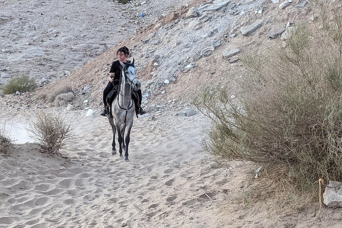 2 Hour Trail Ride to Little Petra-Morning or Sunset - Is the $70 price good value?
