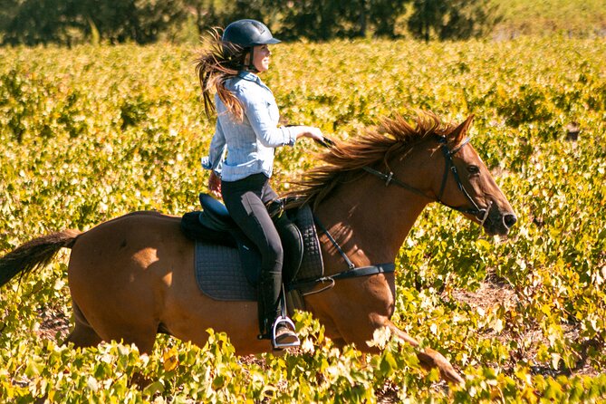 2 Hour Vineyard Trail Ride - Key things to know before you saddle up