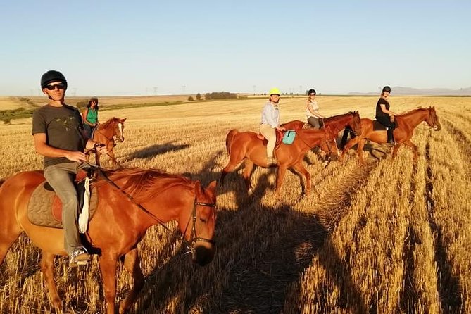 2 Hour Vineyard Trail Ride - Riding through Vredenheim’s vineyards