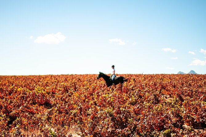 2 Hour Vineyard Trail Ride - What the two-hour route includes