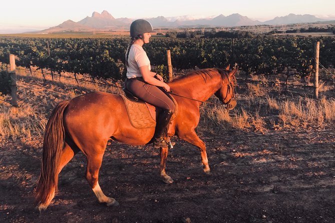 2 Hour Vineyard Trail Ride - Vredenheim Big Cats Park, a separate nearby attraction