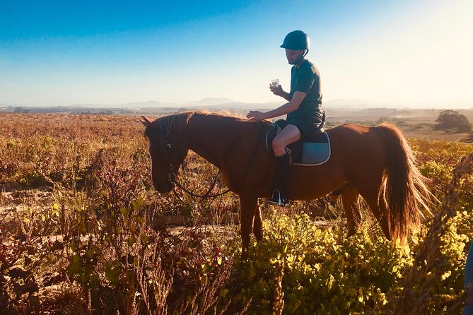 2 Hour Vineyard Trail Ride - Spier Wine Farm and what it adds