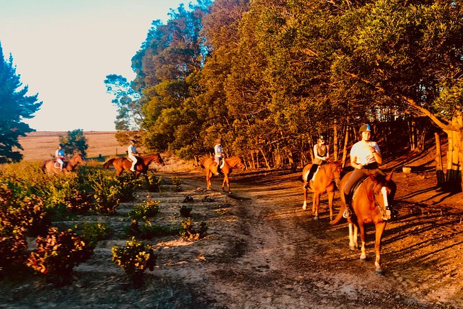 2 Hour Vineyard Trail Ride - Who will enjoy this ride most?