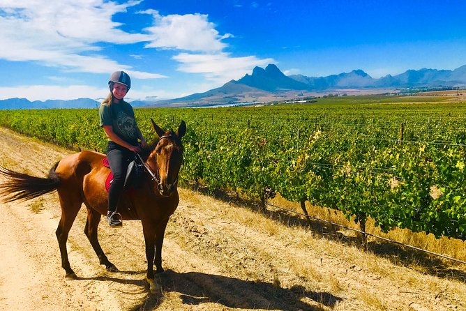 2 Hour Vineyard Trail Ride - The first lesson makes this beginner-friendly