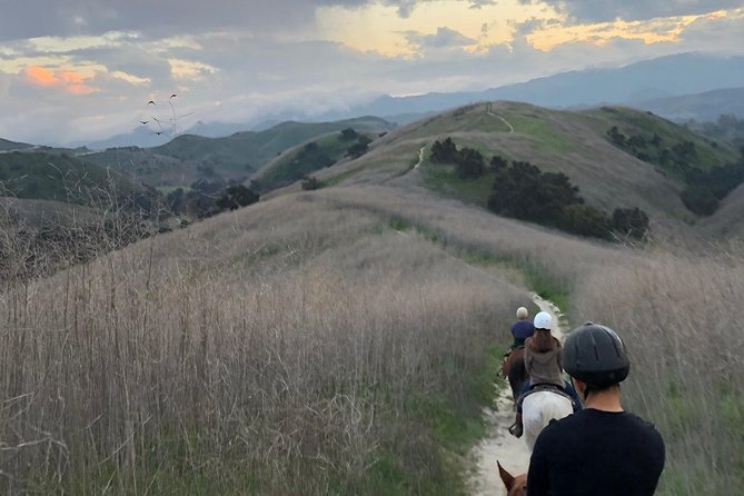 2 Hour Wildflower Horseback Trail Ride experience in Agoura Hills - Key points to know before you book
