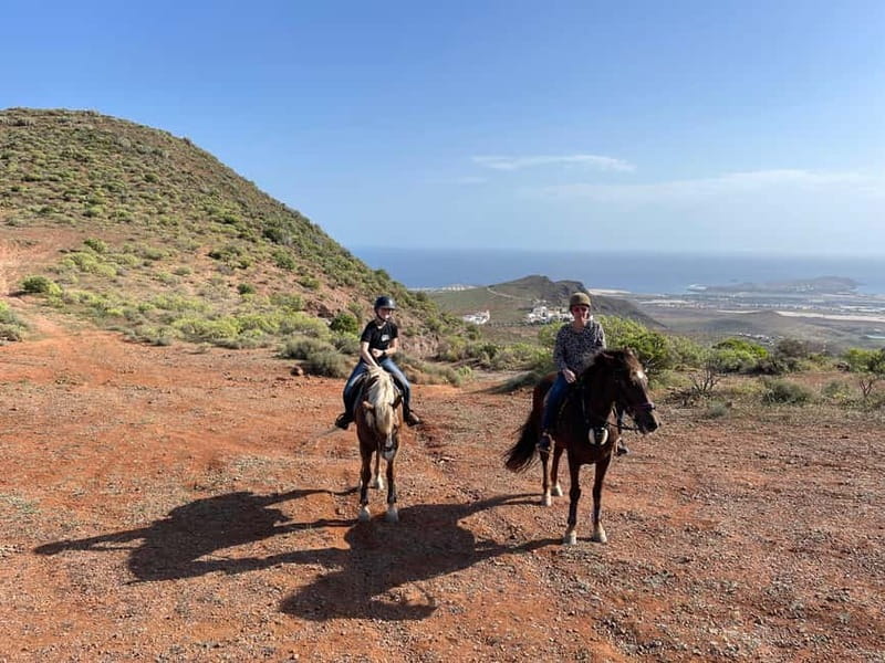 2 hours Green Mountains Horse Riding Tour - Key points at a glance