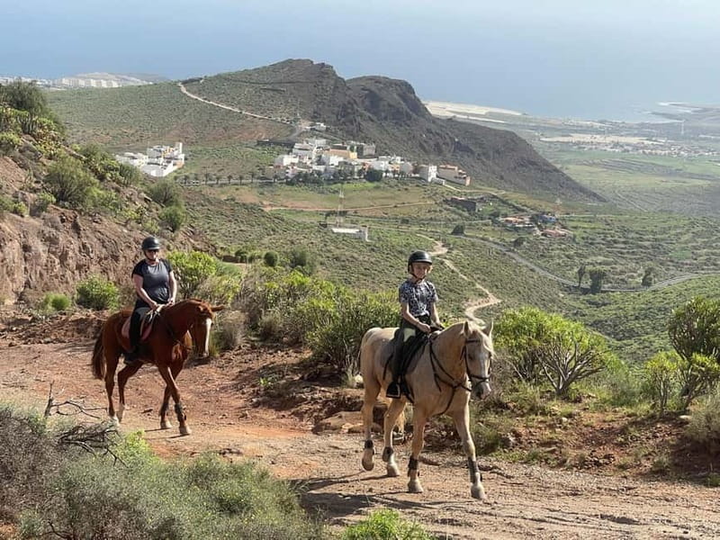 2 hours Green Mountains Horse Riding Tour - Should you book the Green Mountains Horse Riding Tour?