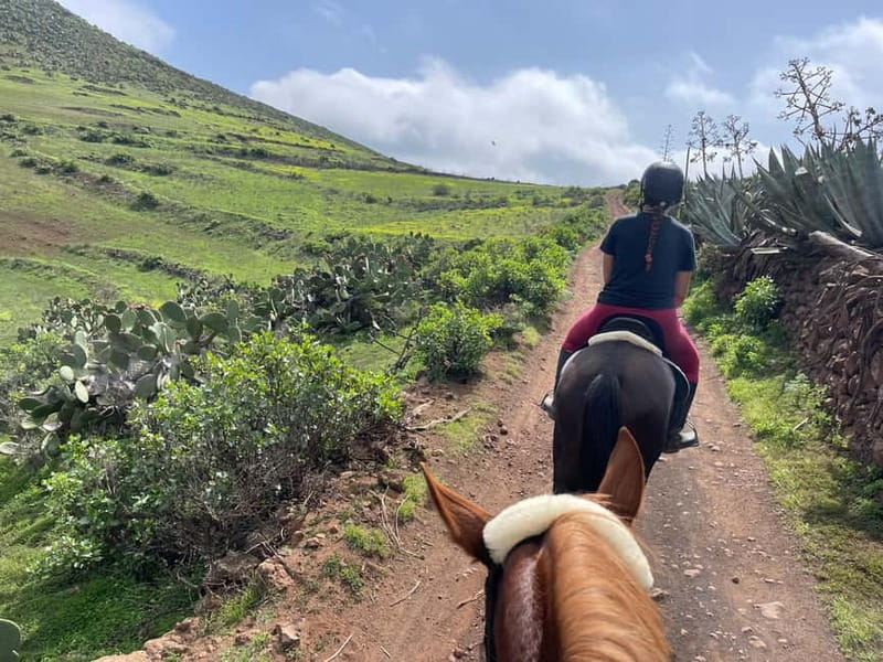 2 hours Green Mountains Horse Riding Tour - Choosing between the higher route and the caves